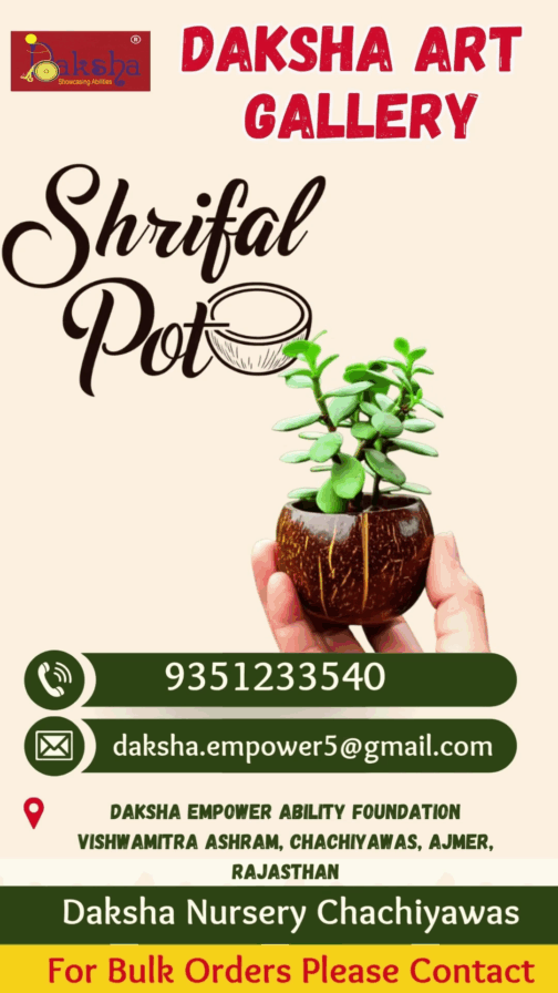 Shrifal | Narial Pot - Image 4