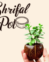 Shrifal | Narial Pot